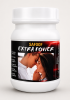 SAFOOF EXTRA POWER | Premium Herbal Wellness Powder for Men